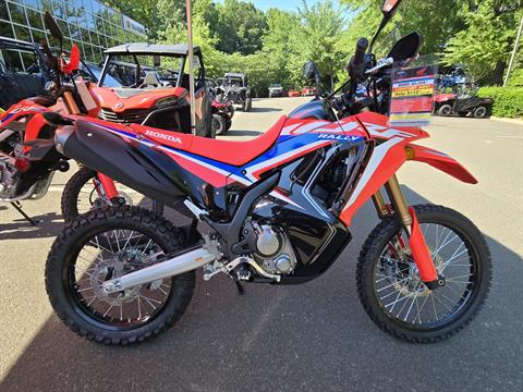 2024 Honda CRF300L Rally ABS in Wake Forest, North Carolina - Photo 1