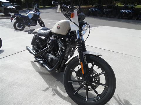 2022 Harley-Davidson Iron 883™ in Wake Forest, North Carolina - Photo 3