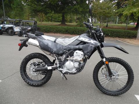 2024 Kawasaki KLX 300 in Wake Forest, North Carolina - Photo 2