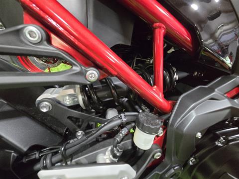 2024 Kawasaki Z900 ABS in Wake Forest, North Carolina - Photo 12