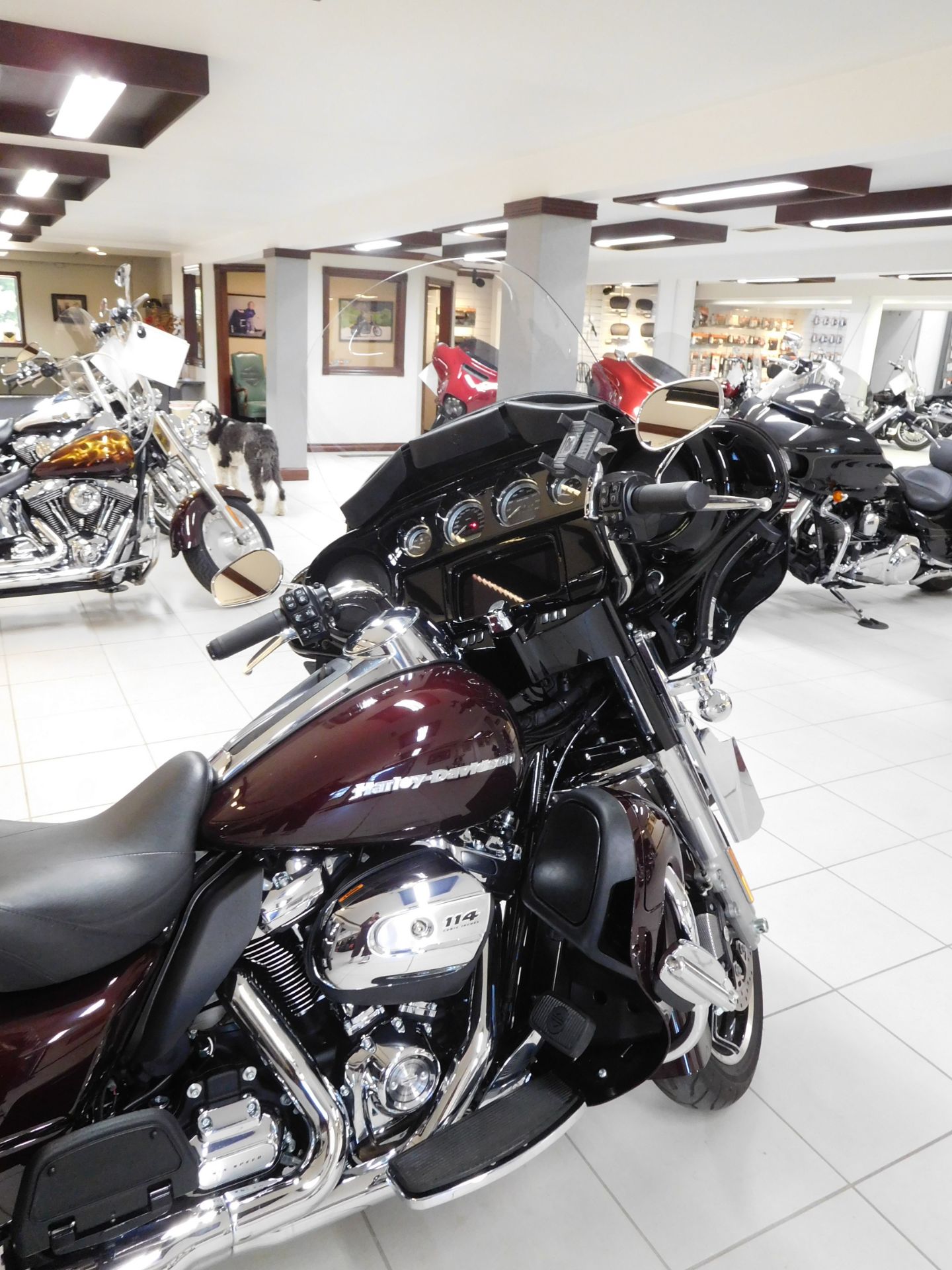 2021 Harley-Davidson Ultra Limited in Rochester, Minnesota - Photo 4