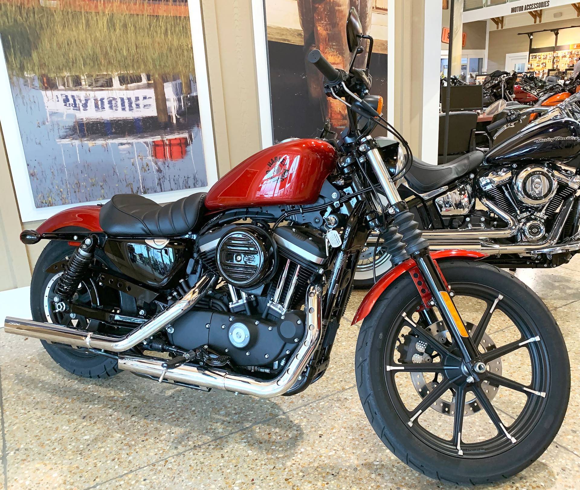 19 Harley Davidson Sportster Iron 8 For Sale Shallotte Nc