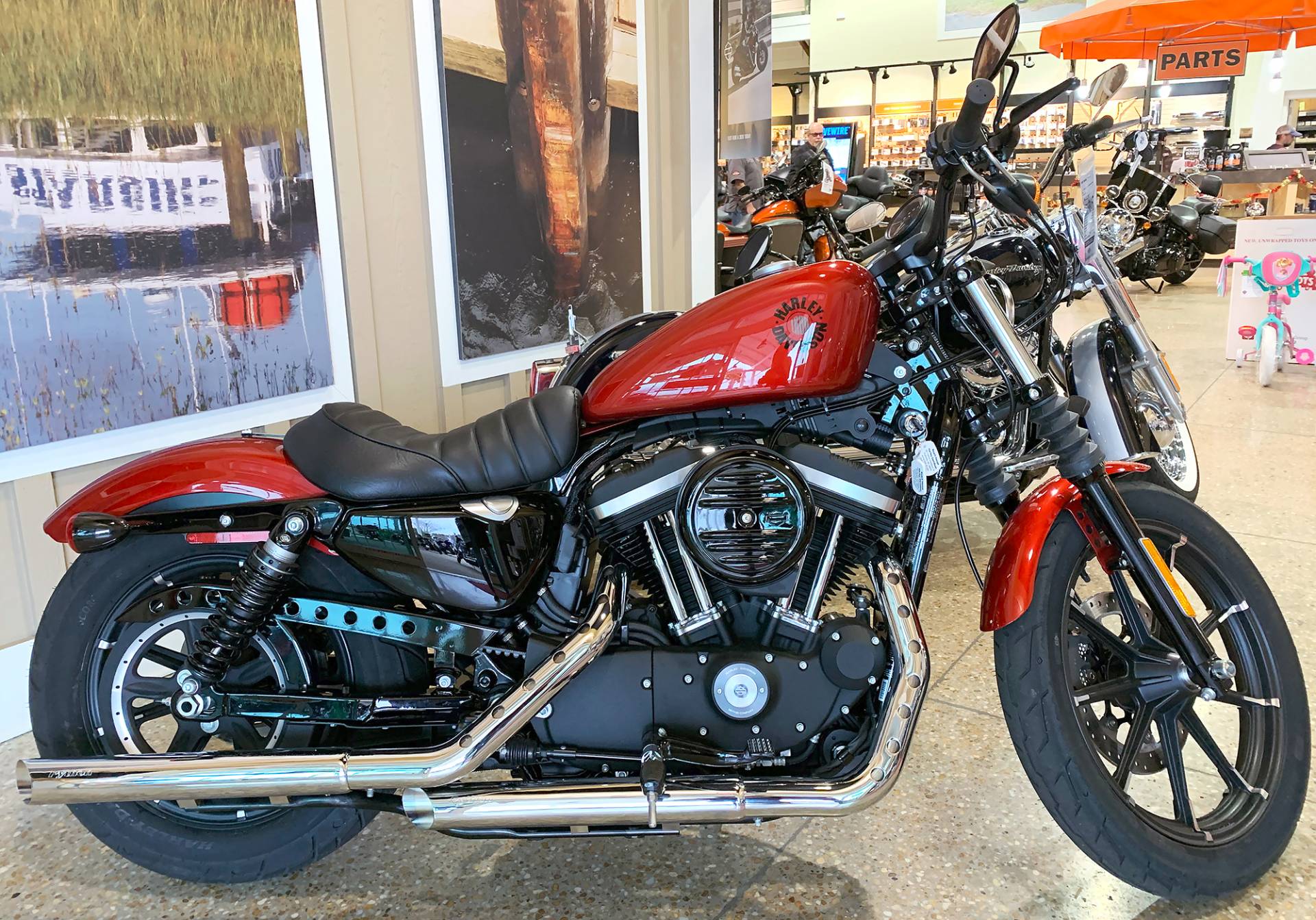 19 Harley Davidson Sportster Iron 8 For Sale Wilmington Nc