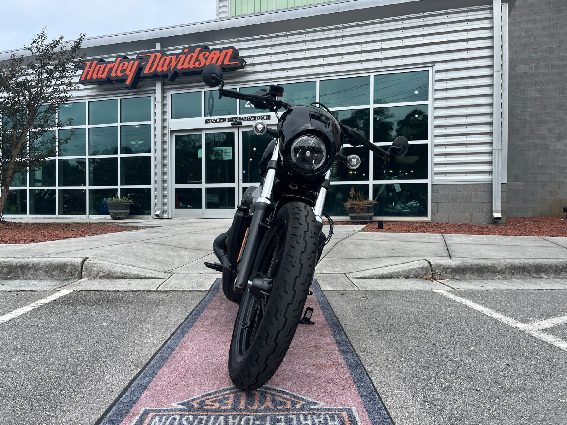 2022 Harley-Davidson Nightster™ in Jacksonville, North Carolina - Photo 7