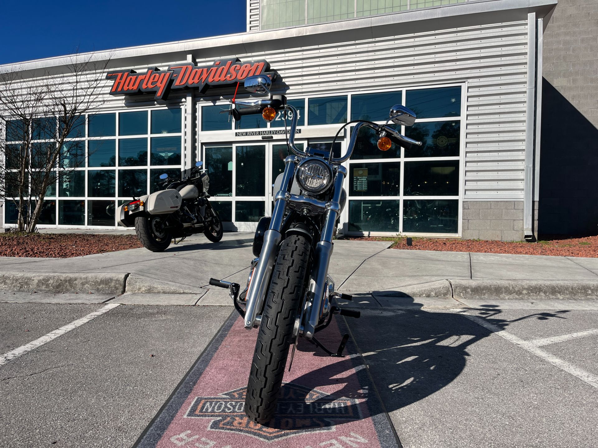 2024 Harley-Davidson SOFTAIL STANDARD in Jacksonville, North Carolina - Photo 16