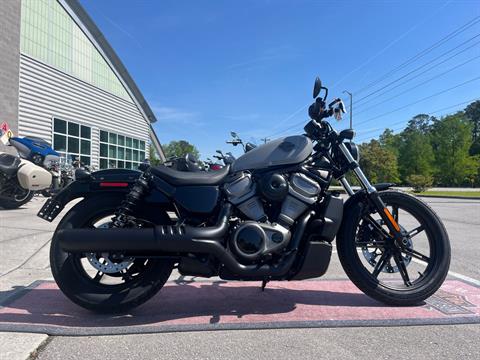 2024 Harley-Davidson Nightster® in Jacksonville, North Carolina - Photo 1
