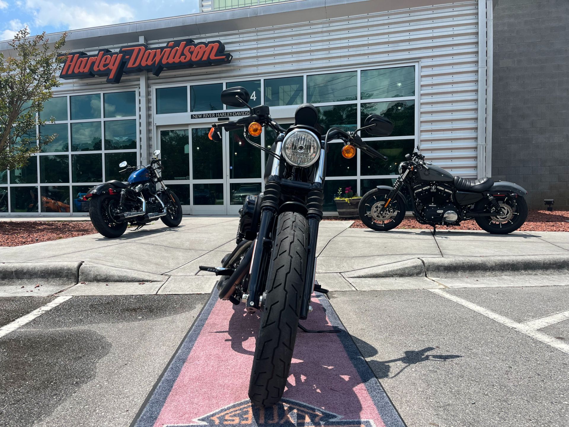 2022 Harley-Davidson Iron 883™ in Jacksonville, North Carolina - Photo 7