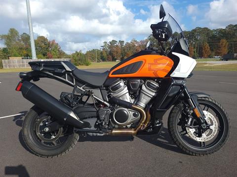2021 Harley-Davidson Pan America™ Special in Jacksonville, North Carolina - Photo 1