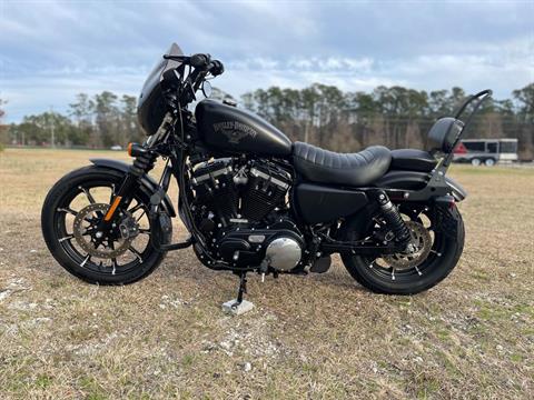 2017 Harley-Davidson Sportster® Iron 883™ in Jacksonville, North Carolina - Photo 2