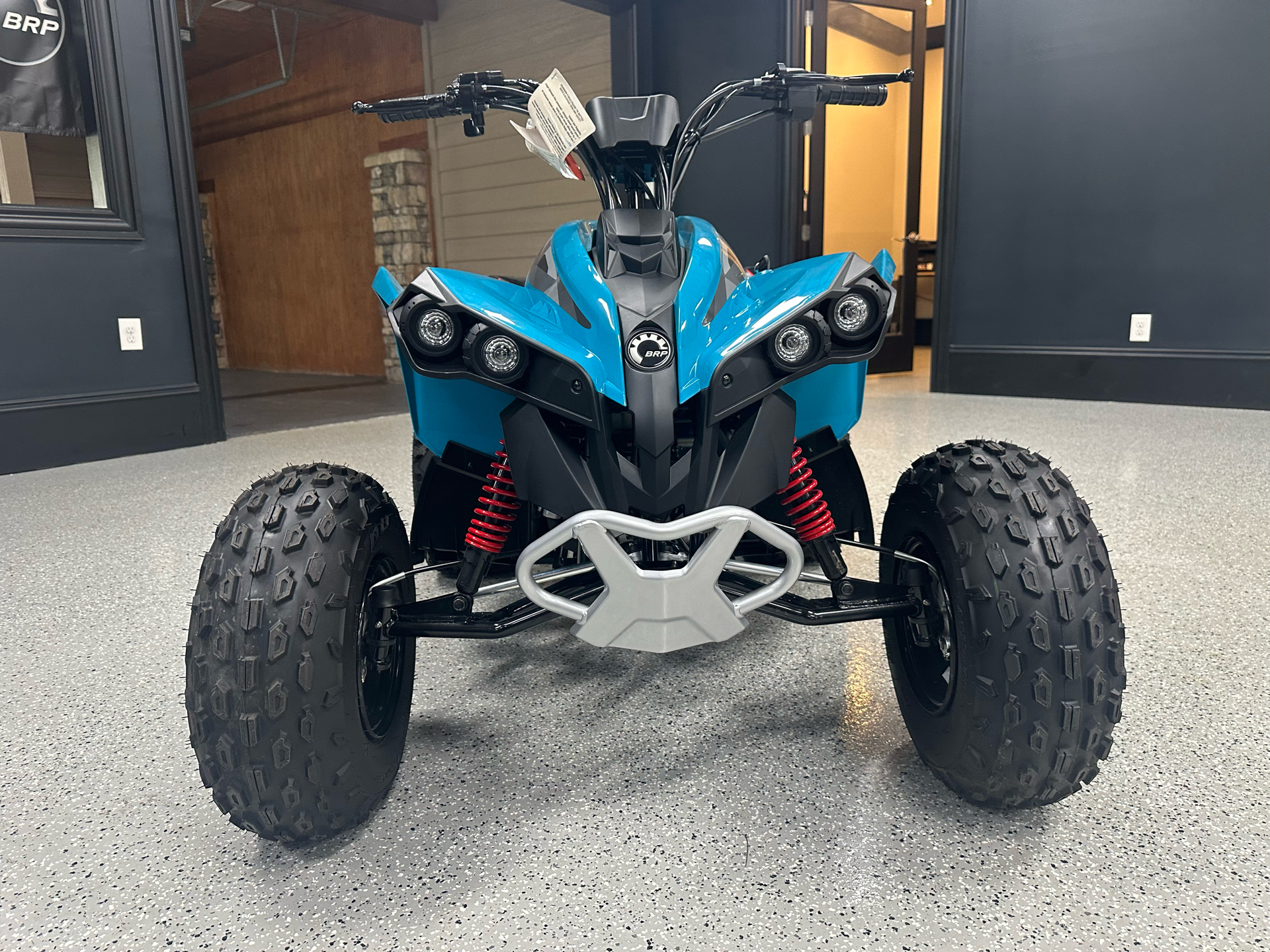 2024 Can-Am Renegade 110 EFI in Iron Station, North Carolina - Photo 8