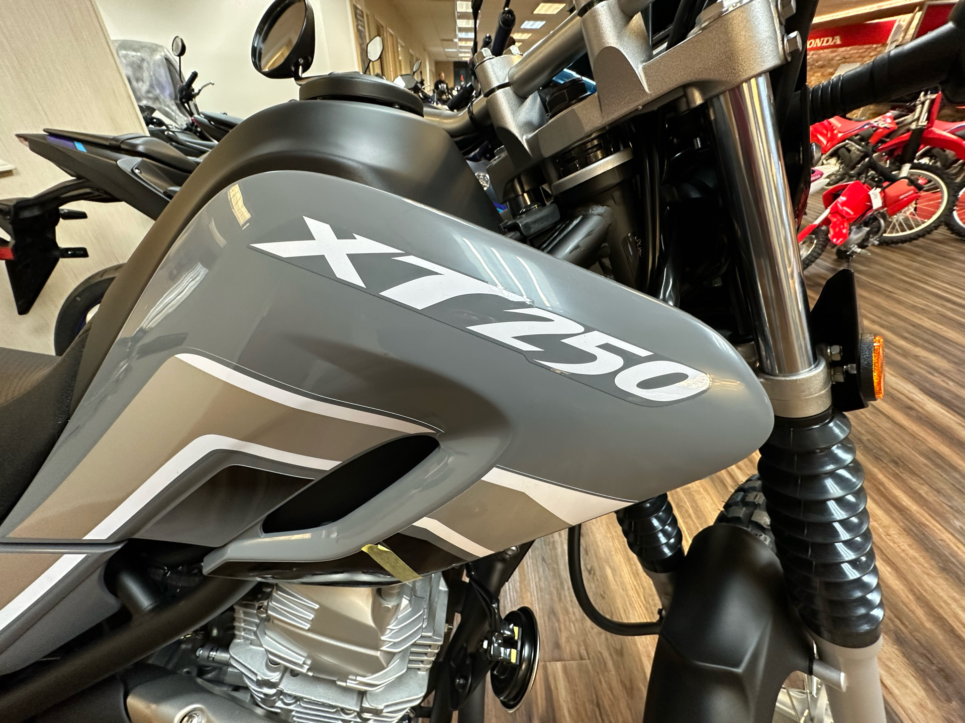 2023 Yamaha XT250 in Statesville, North Carolina - Photo 2