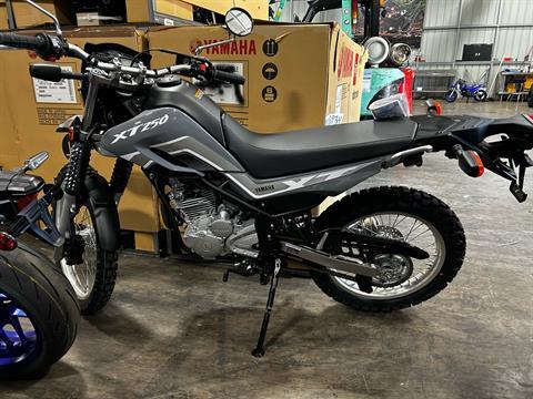2024 Yamaha XT250 in Statesville, North Carolina - Photo 3