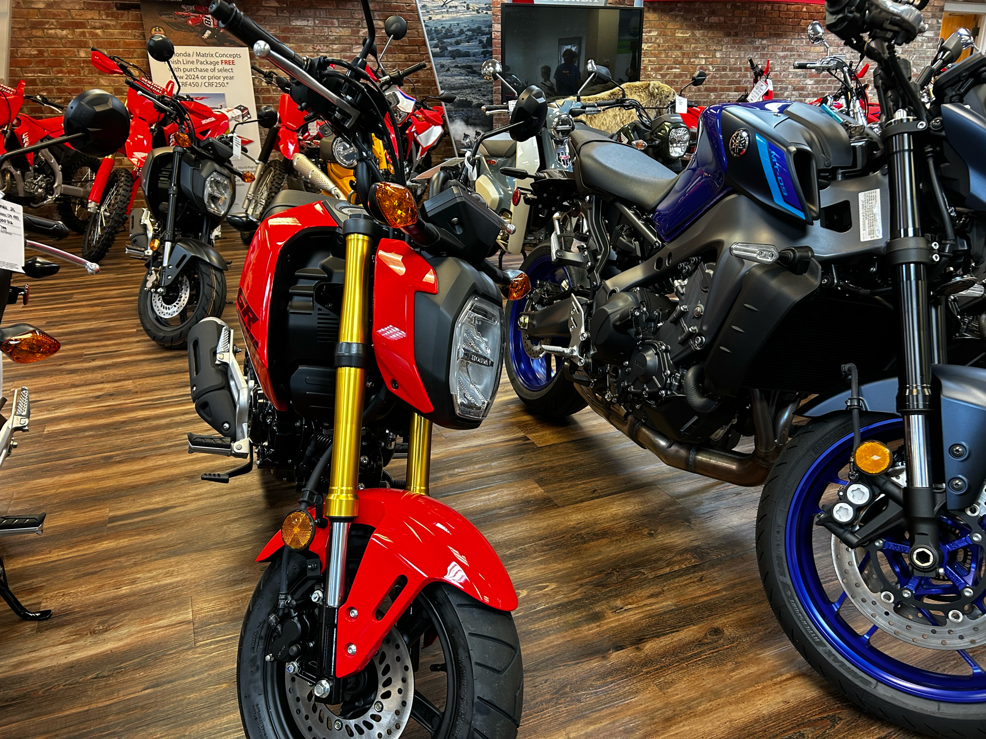 2025 Honda Grom in Statesville, North Carolina - Photo 1