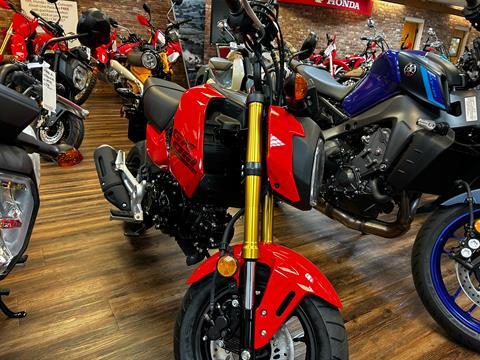 2025 Honda Grom in Statesville, North Carolina - Photo 3