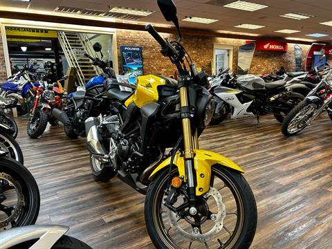 2024 Honda CB300R ABS in Statesville, North Carolina - Photo 2