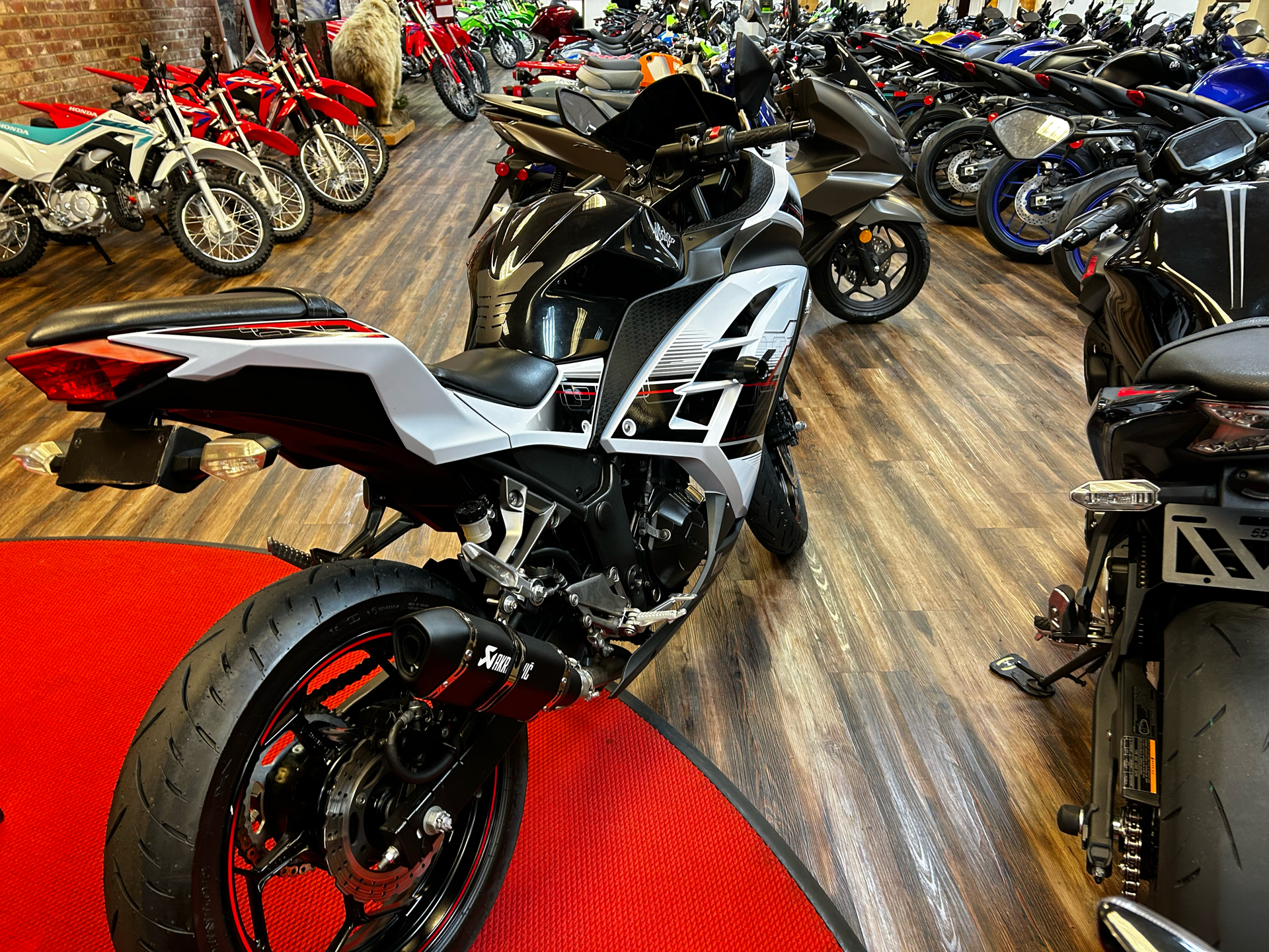 2014 Kawasaki Ninja® 300 SE in Statesville, North Carolina - Photo 6