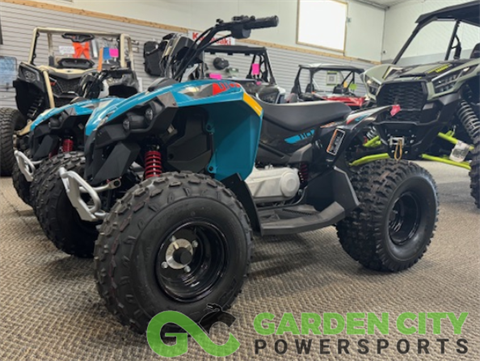 2024 Can-Am Renegade 110 EFI in Garden City, Kansas - Photo 1