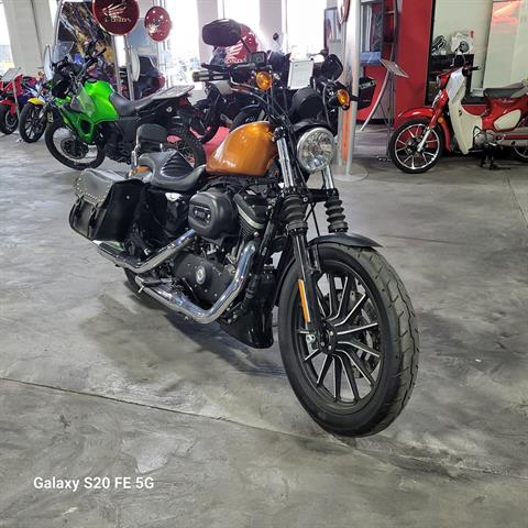 2014 Harley-Davidson Sportster® Iron 883™ in Elizabethtown, Kentucky - Photo 6
