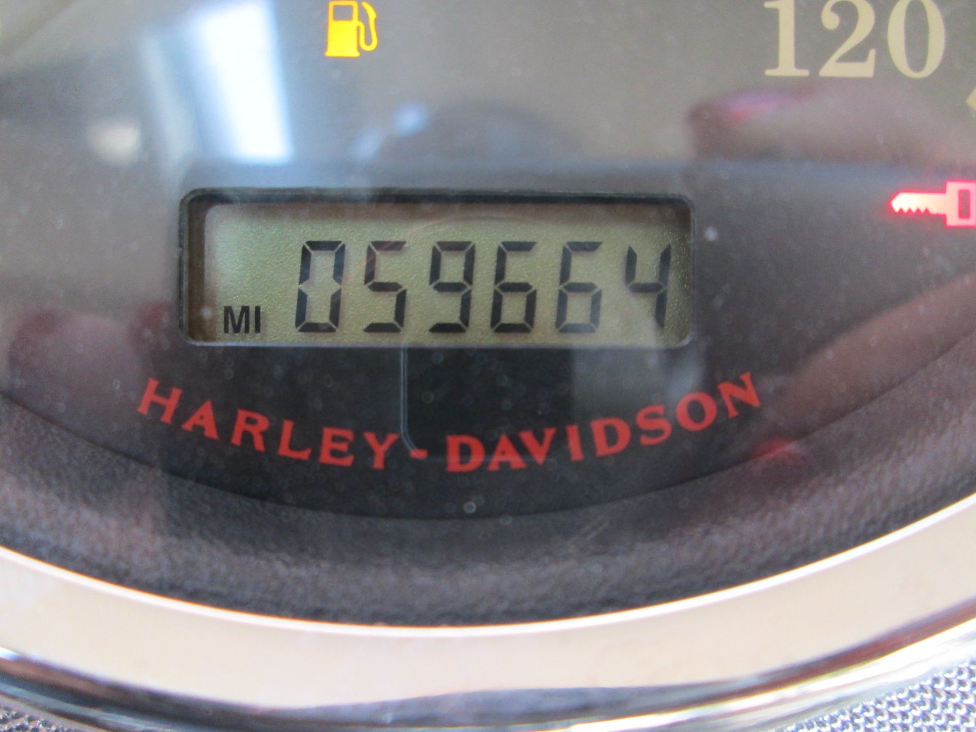 2007 Harley-Davidson Softail® Standard in Temple, Texas - Photo 17