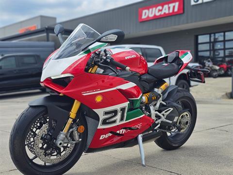 2024 Ducati Panigale V2 Bayliss 1st Championship 20th Anniversary in Chattanooga, Tennessee - Photo 4