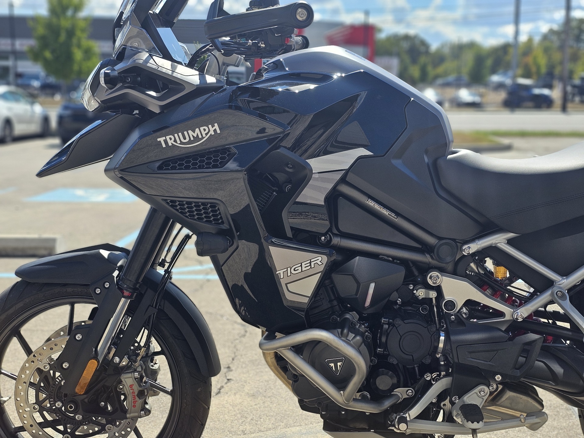 2023 Triumph Tiger 1200 GT Explorer in Chattanooga, Tennessee - Photo 4