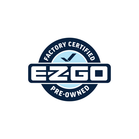 2020 E-Z-GO Freedom RXV Elite 2.0 in Avon, New York - Photo 2