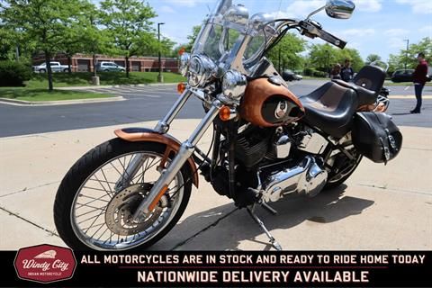 2008 Harley-Davidson Softail® Custom in Lake Villa, Illinois - Photo 8