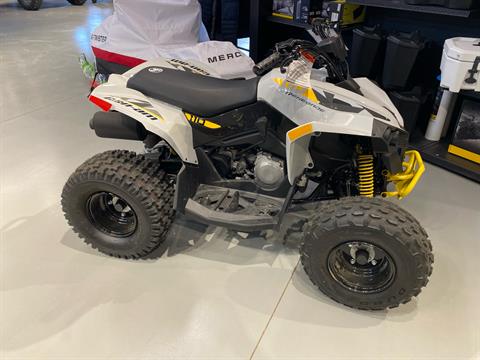 2024 Can-Am Renegade 110 EFI in Dickinson, North Dakota