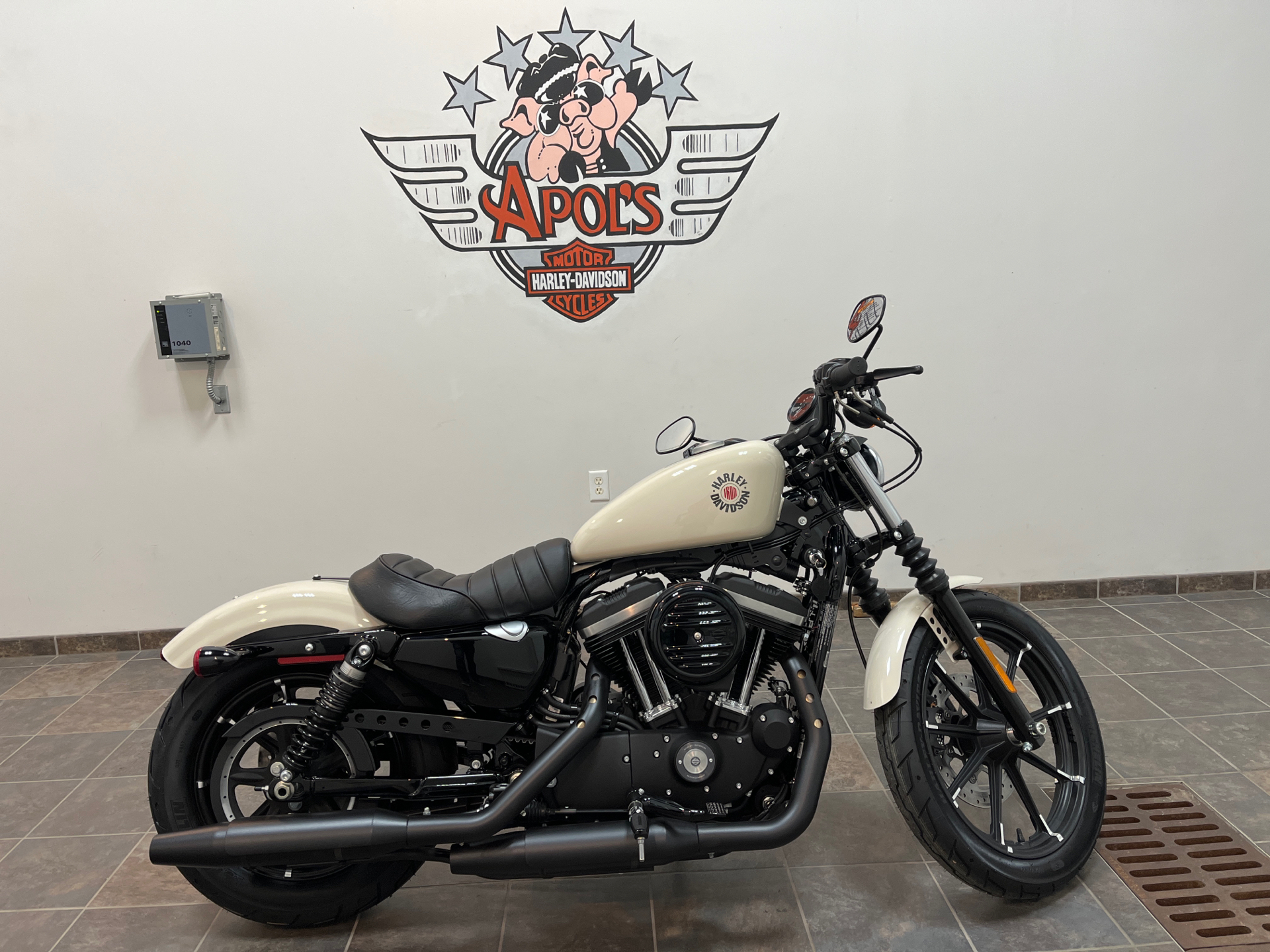 2022 Harley-Davidson Iron 883™ in Alexandria, Minnesota - Photo 1