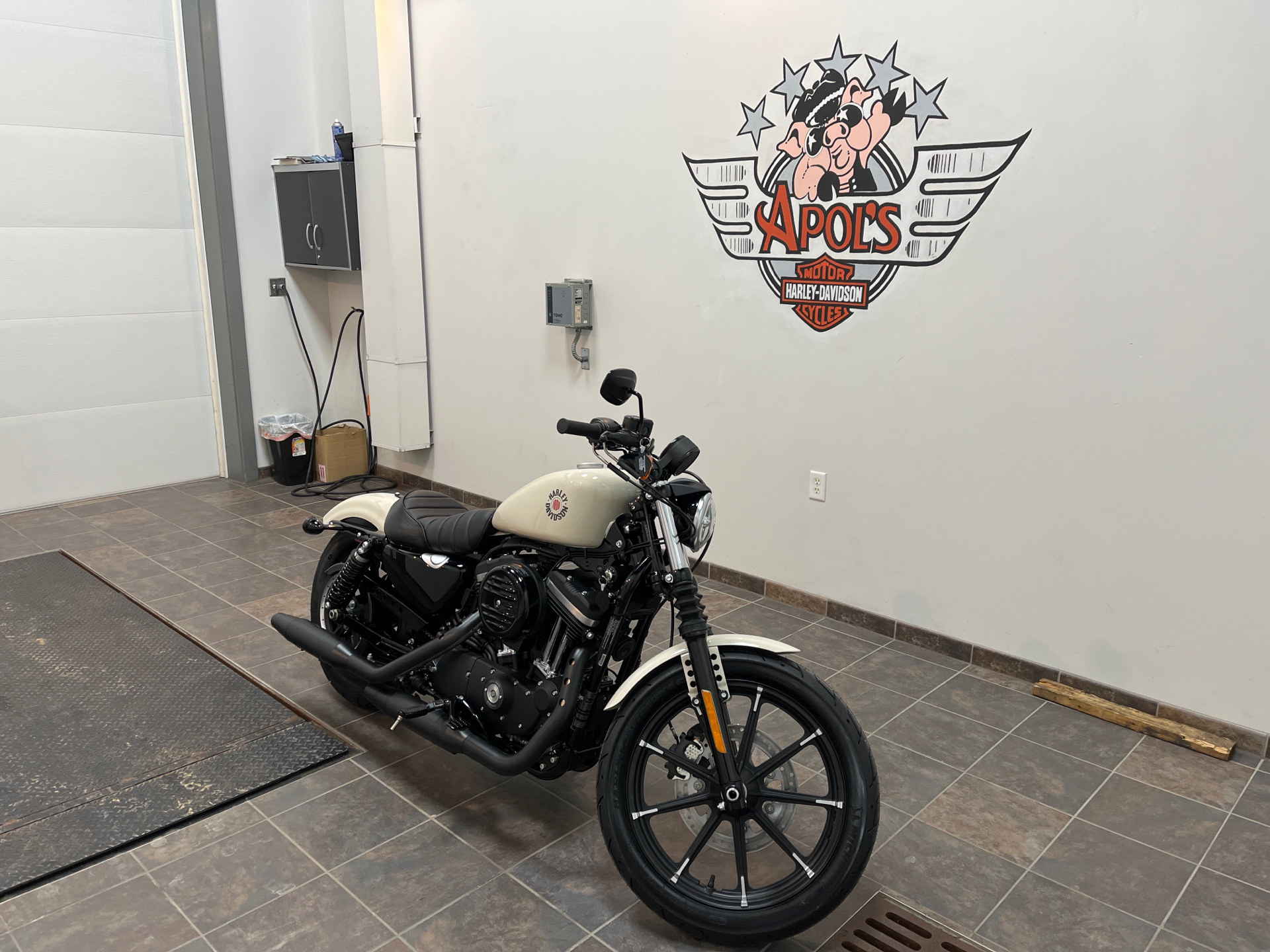 2022 Harley-Davidson Iron 883™ in Alexandria, Minnesota - Photo 2