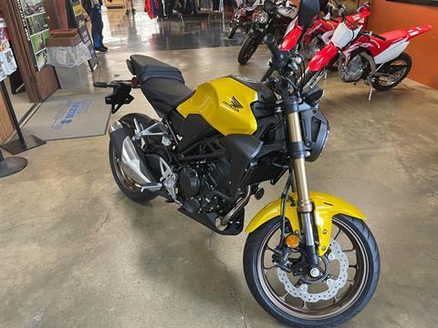 2024 Honda CB300R ABS in Sanford, North Carolina - Photo 2