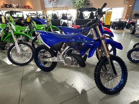 2024 Yamaha YZ250 in Corbin, Kentucky - Photo 1