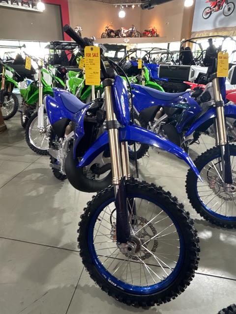 2024 Yamaha YZ250 in Corbin, Kentucky - Photo 2