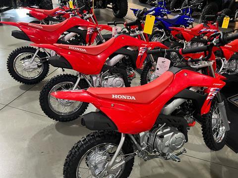 2025 Honda CRF110F in Corbin, Kentucky - Photo 1