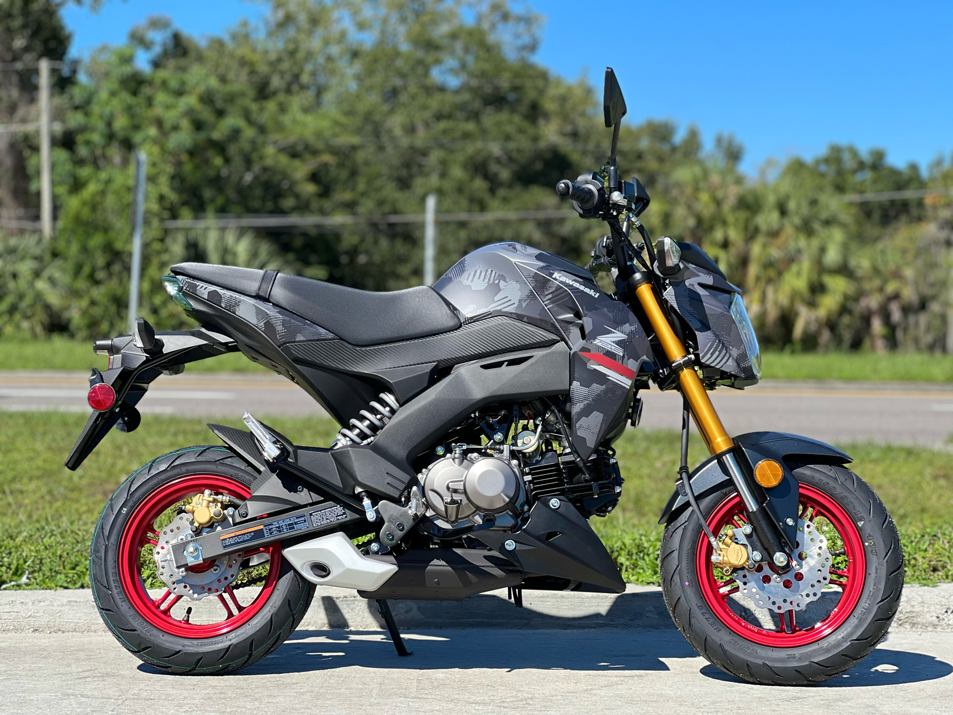 2024 Kawasaki Z125 Pro in Orlando, Florida - Photo 1