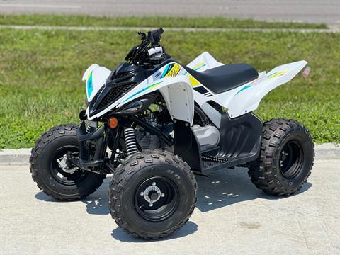 2023 Yamaha Raptor 90 in Orlando, Florida - Photo 1