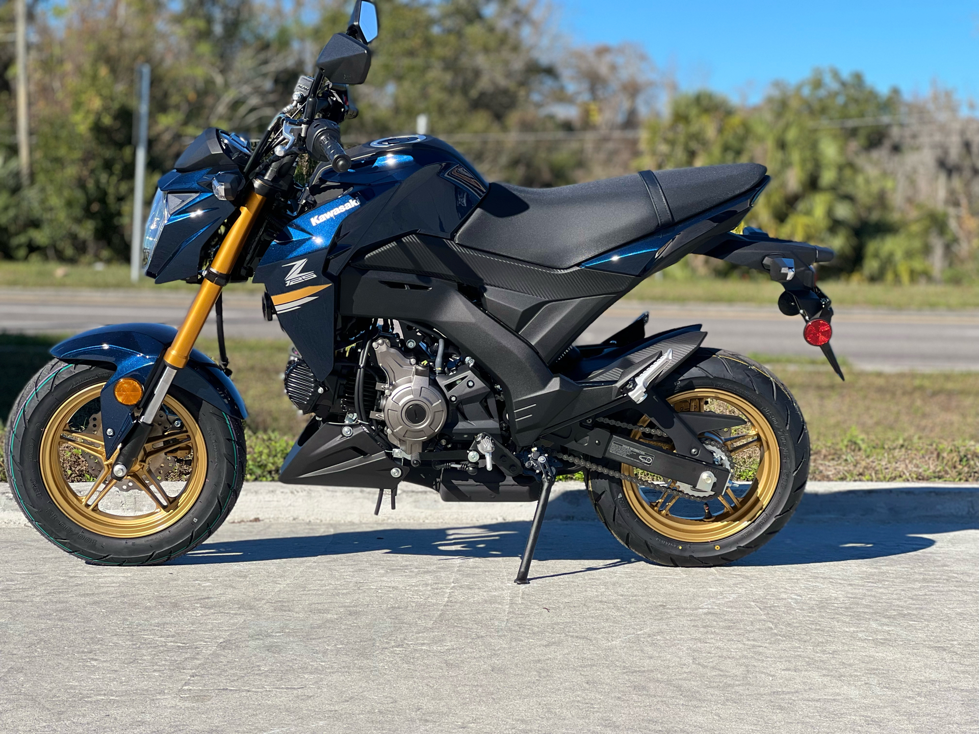 2023 Kawasaki Z125 Pro in Orlando, Florida - Photo 2
