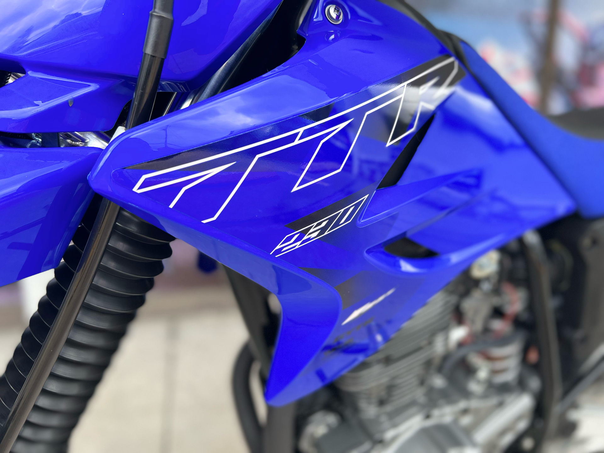 2022 Yamaha TT-R230 in Orlando, Florida - Photo 3