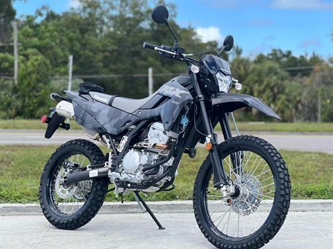2024 Kawasaki KLX 300 in Orlando, Florida - Photo 7