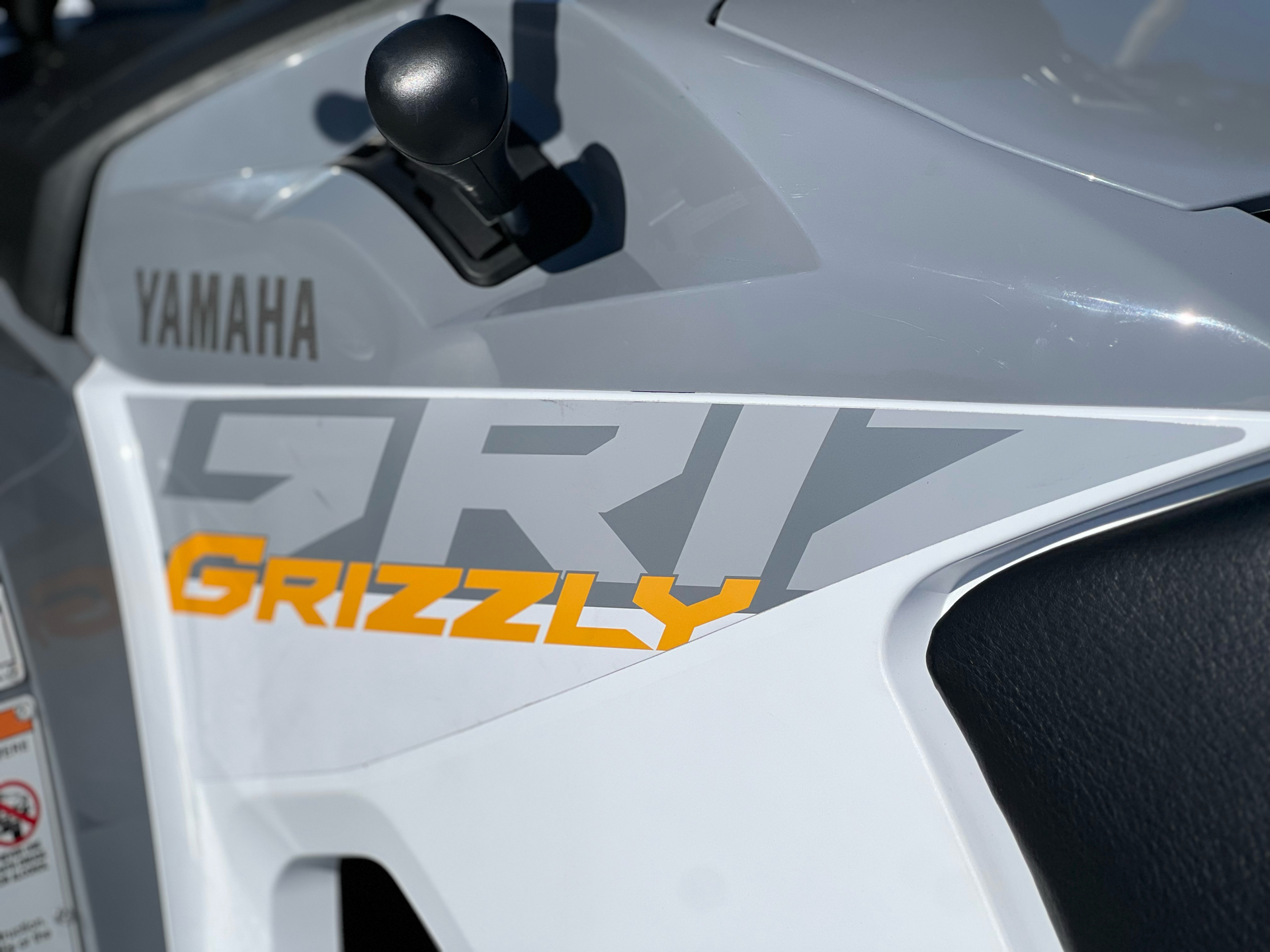 2024 Yamaha Grizzly EPS in Orlando, Florida - Photo 3