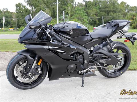 Yamaha R6s Off 68 Medpharmres Com