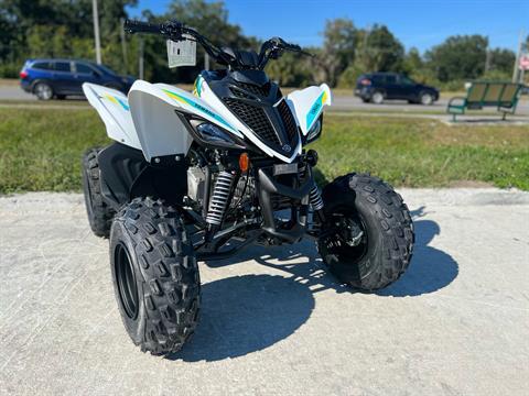 2022 Yamaha Raptor 90 in Orlando, Florida - Photo 1