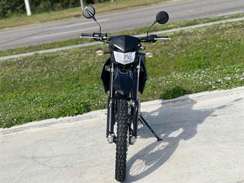 2023 Kawasaki KLX 300 in Orlando, Florida - Photo 4