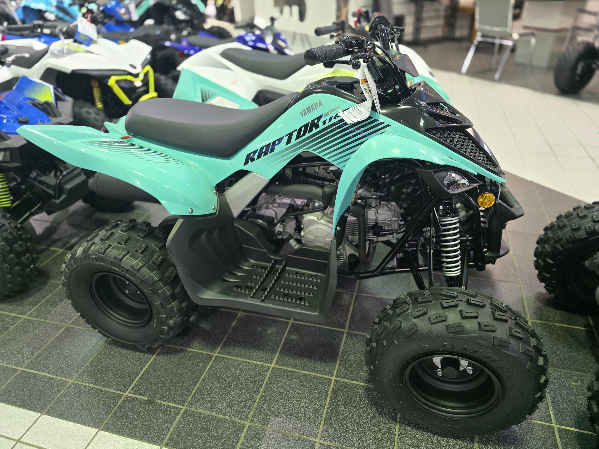 2025 Yamaha Raptor 110 in Asheville, North Carolina - Photo 1