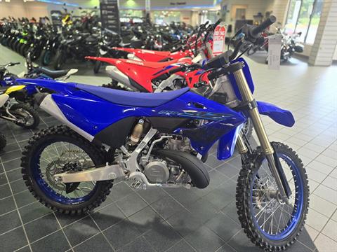 2024 Yamaha YZ250 in Asheville, North Carolina - Photo 1