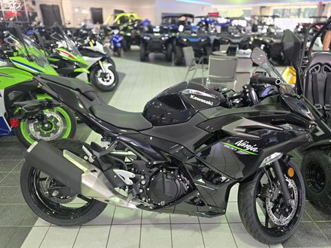 2024 Kawasaki Ninja 500 ABS in Asheville, North Carolina - Photo 1