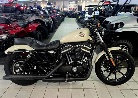 2022 Harley-Davidson Iron 883™ in Asheville, North Carolina