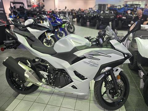 2024 Kawasaki Ninja 500 ABS in Asheville, North Carolina - Photo 1