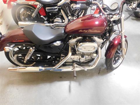 2014 Harley-Davidson Sportster® SuperLow® in Sauk Rapids, Minnesota - Photo 1