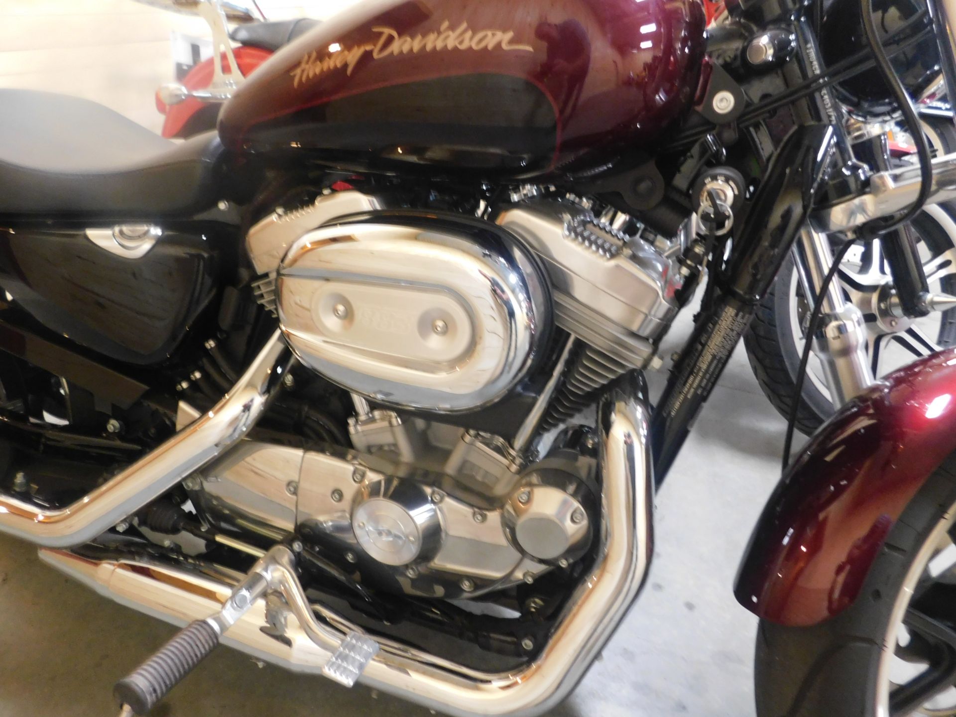 2014 Harley-Davidson Sportster® SuperLow® in Sauk Rapids, Minnesota - Photo 2